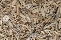 biomass boilers Redstocks